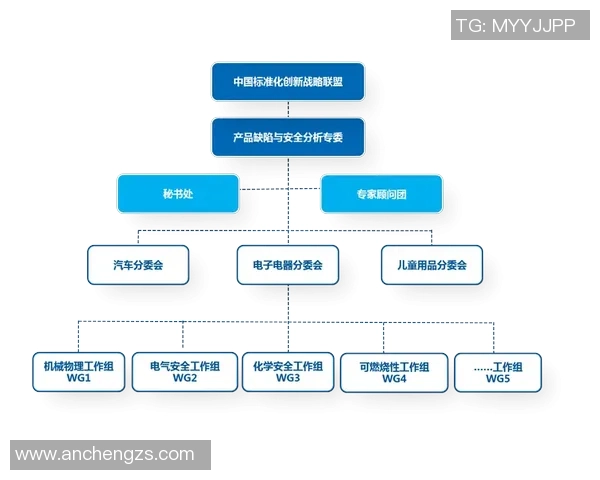 西安排球队的技术分析与战术创新探讨