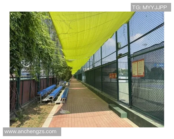 西安网球队近期状态全面对比及其对比赛表现的影响分析